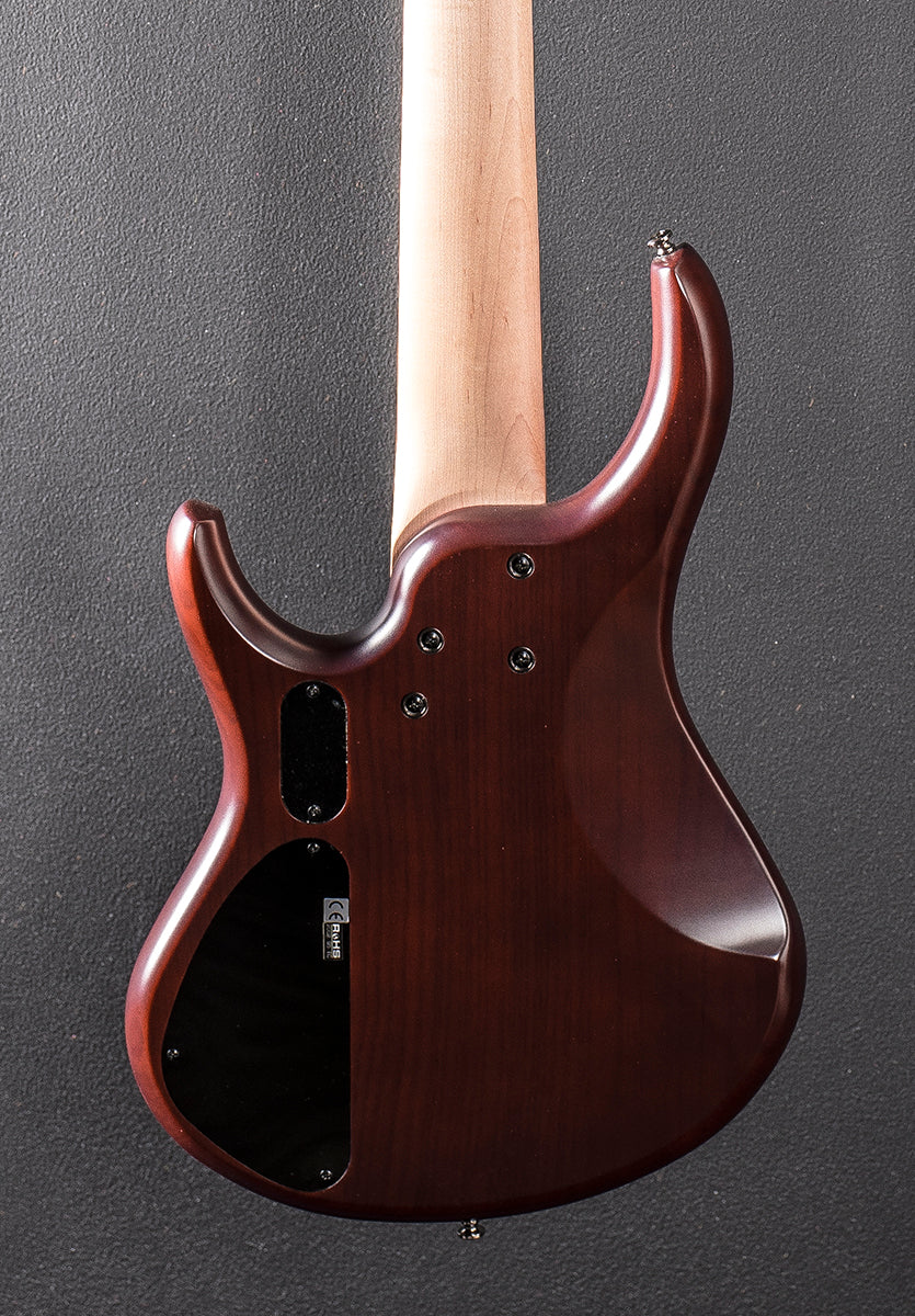 Kingston Super 5 5 String Bass &