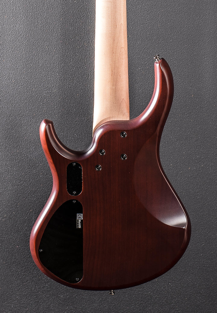 Kingston Super 5 5 String Bass &