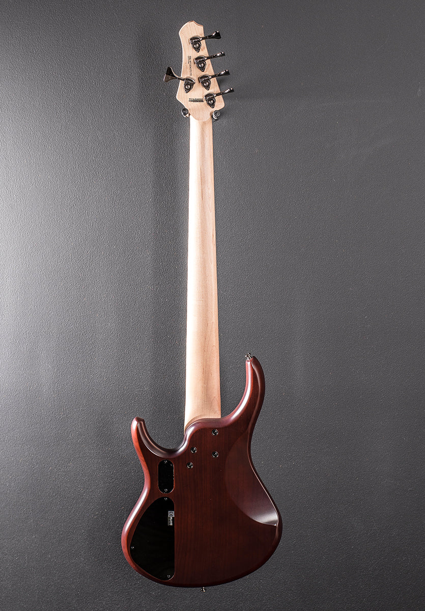 Kingston Super 5 5 String Bass &