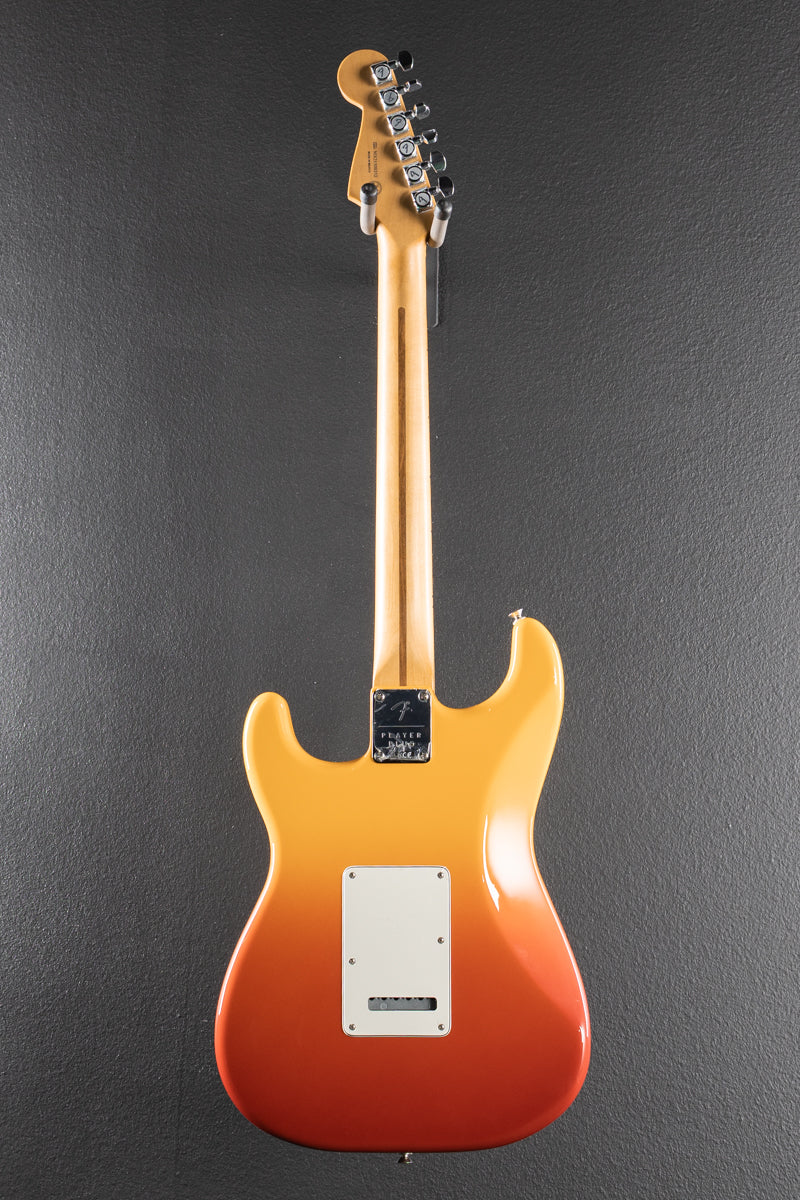 Player Plus Strat &