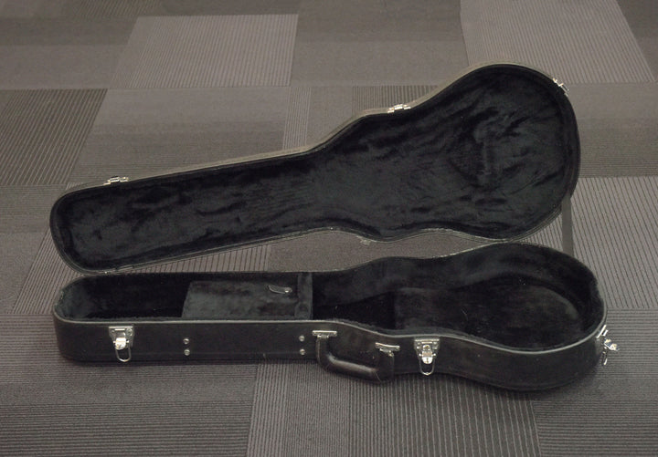 Les Paul-Fit Case, Recent