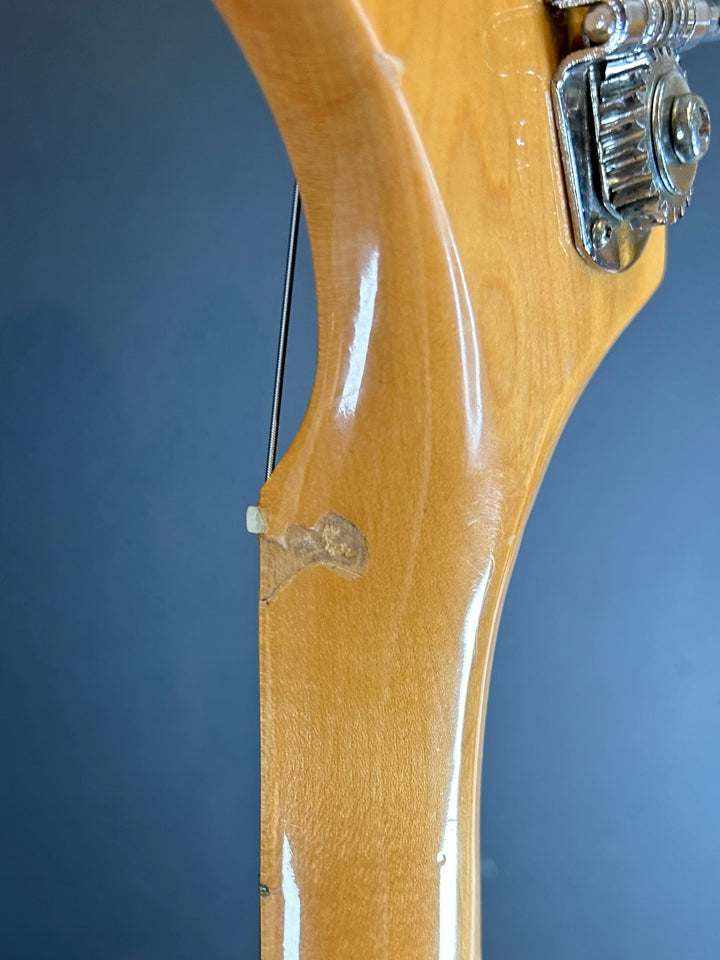 Parts P Bass, Recent