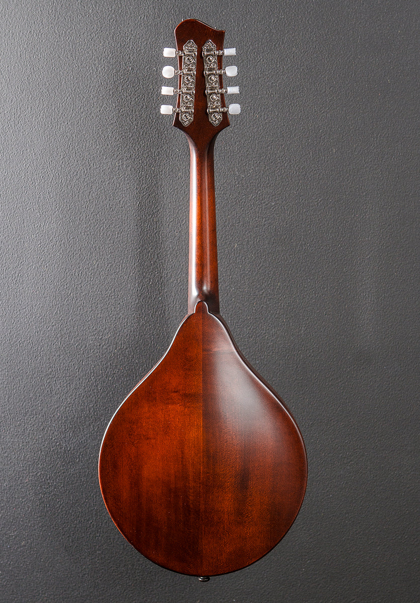 MD505/N-CC Mandolin '21