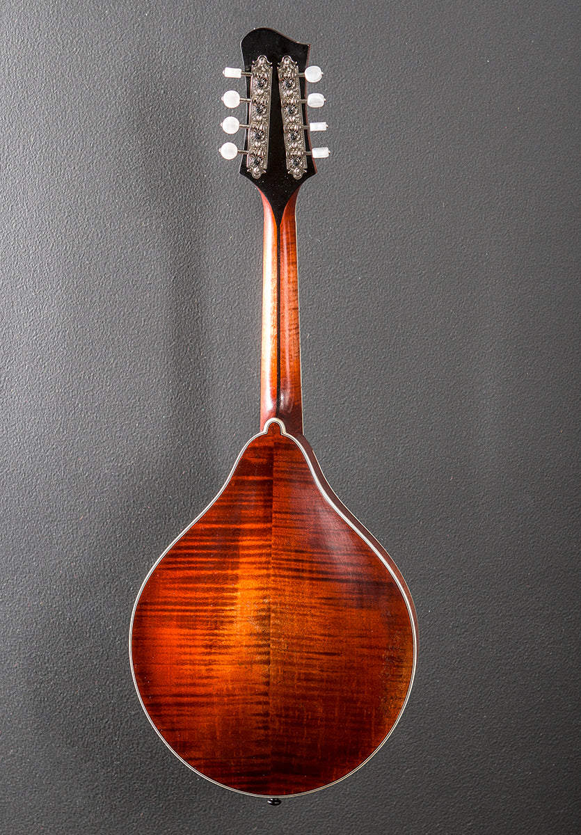 MD805/V-CLA Mandolin