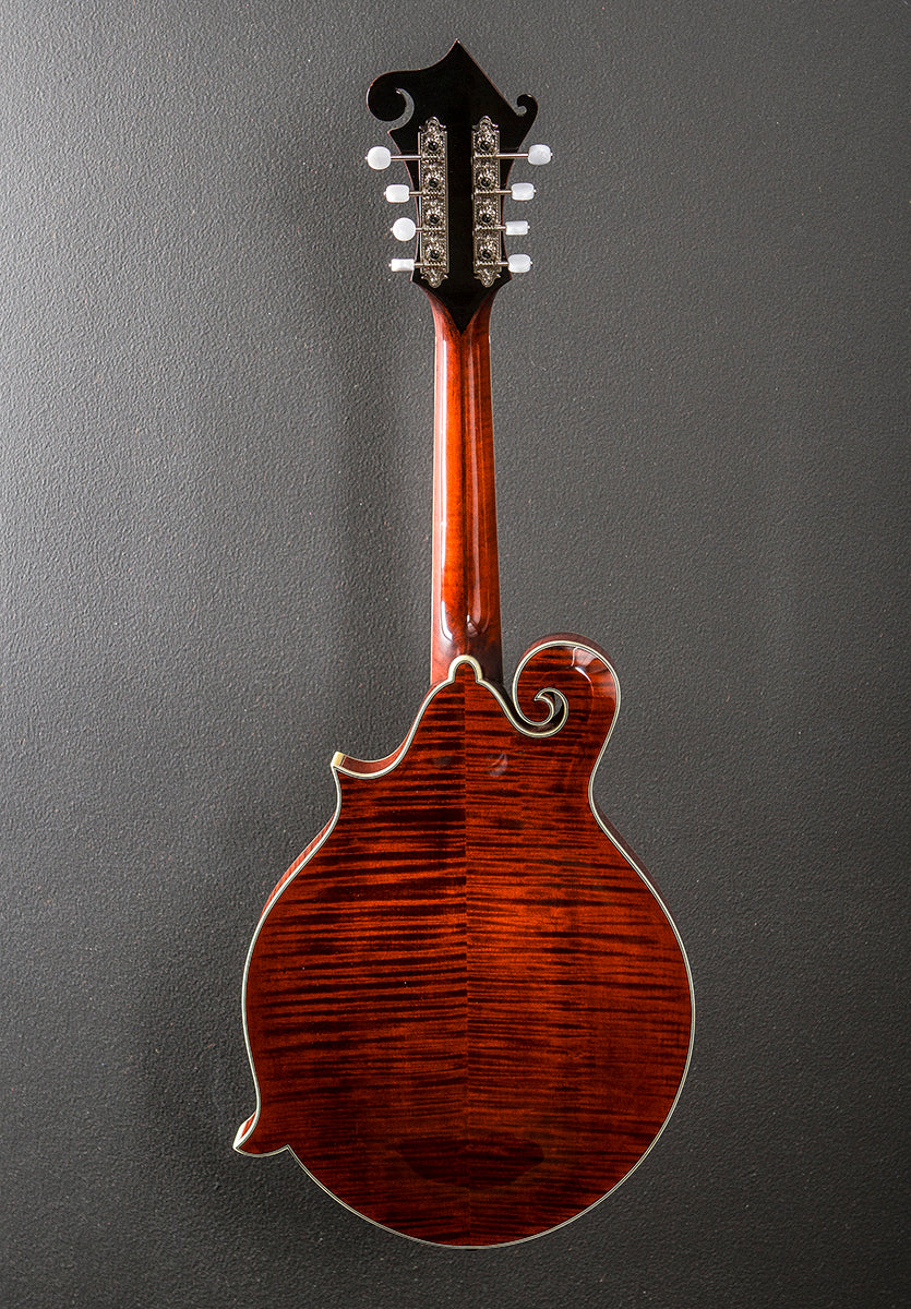 MDA815 Mandola '23