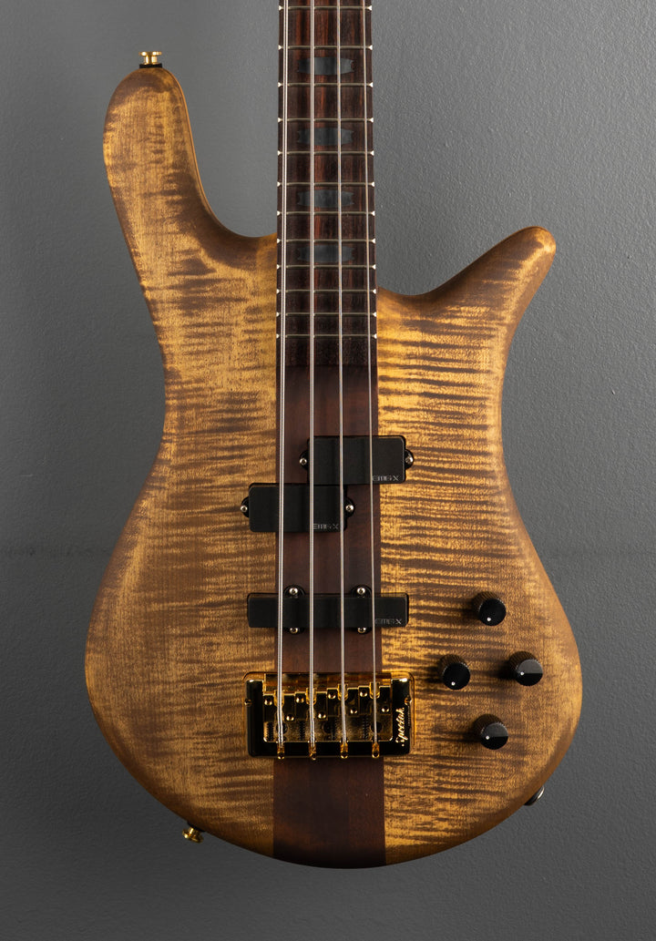Euro 4 Rex Brown Signature - Desert Gold