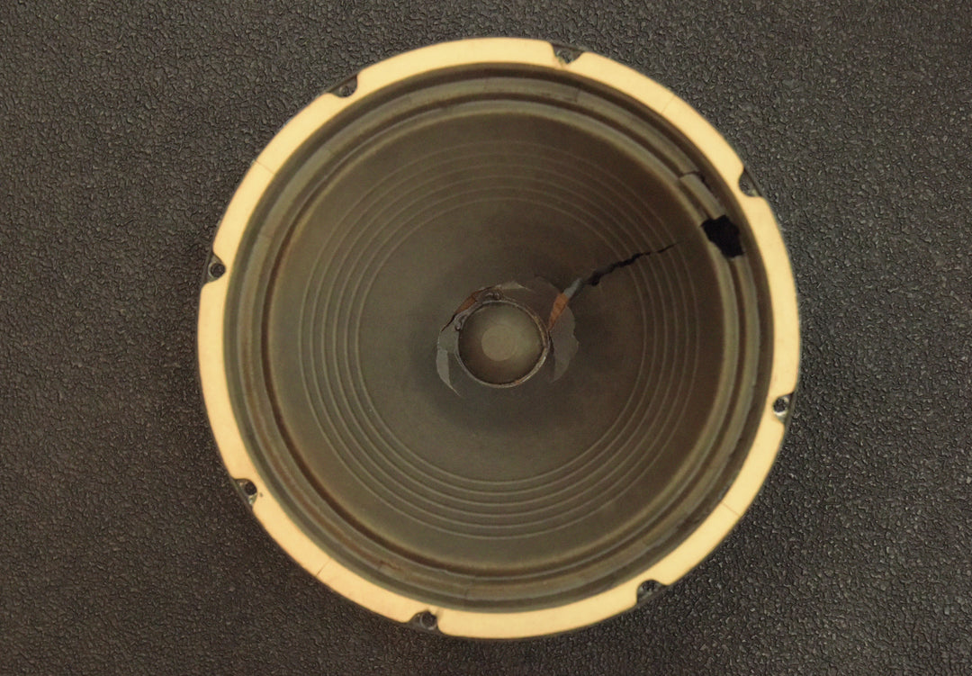 P12N - 12" 8 OHMs Speaker, '59