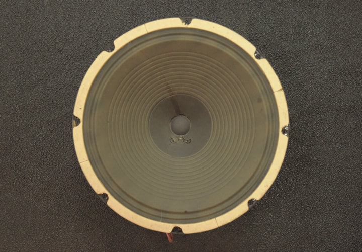 P12SX - 12" 8 OHMs Speaker, '65