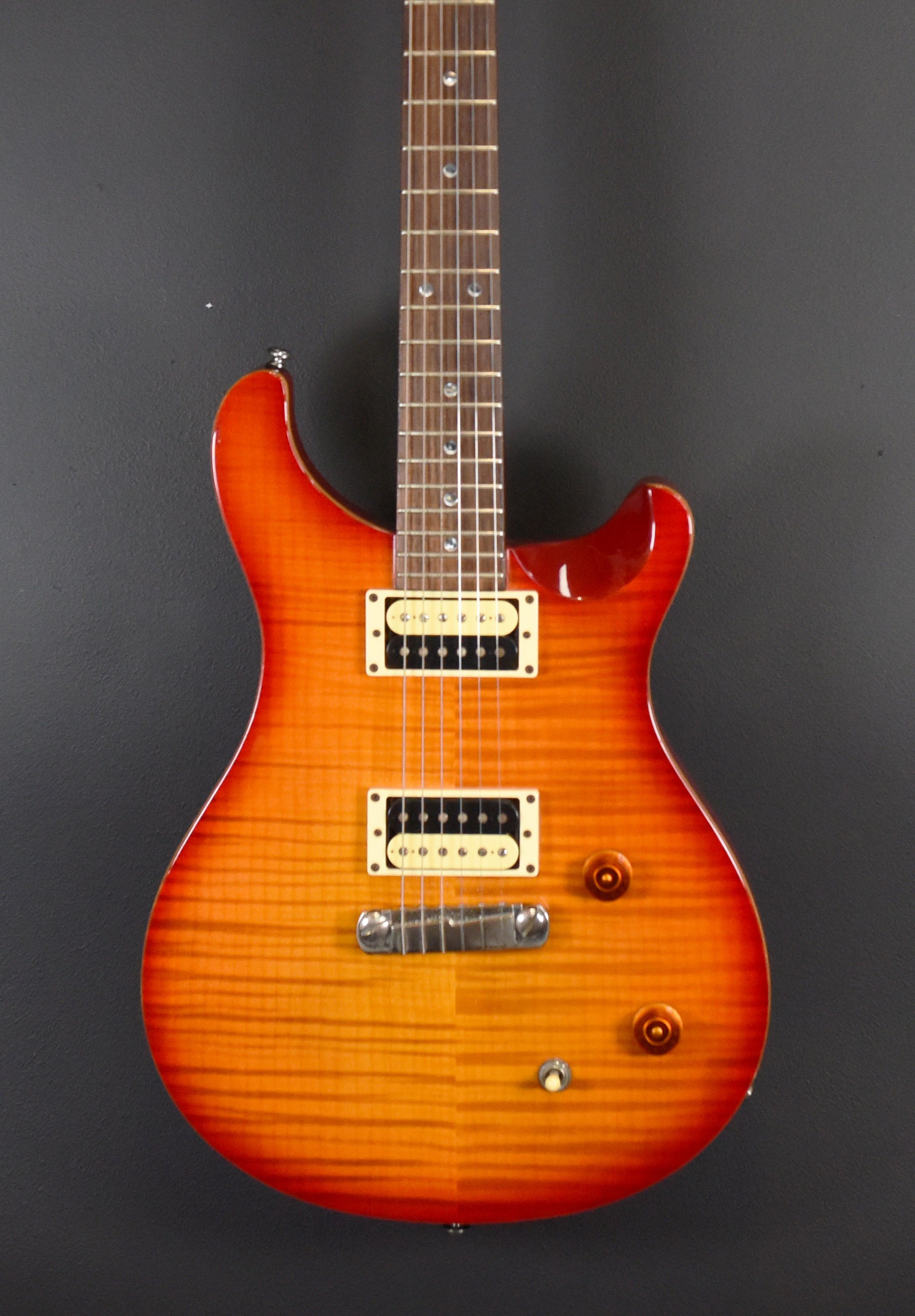 SE Custom 22 '06 – Dave's Guitar Shop