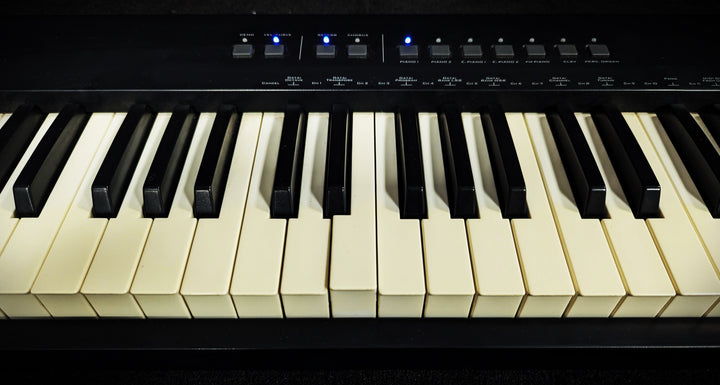 Prokeys 88SX