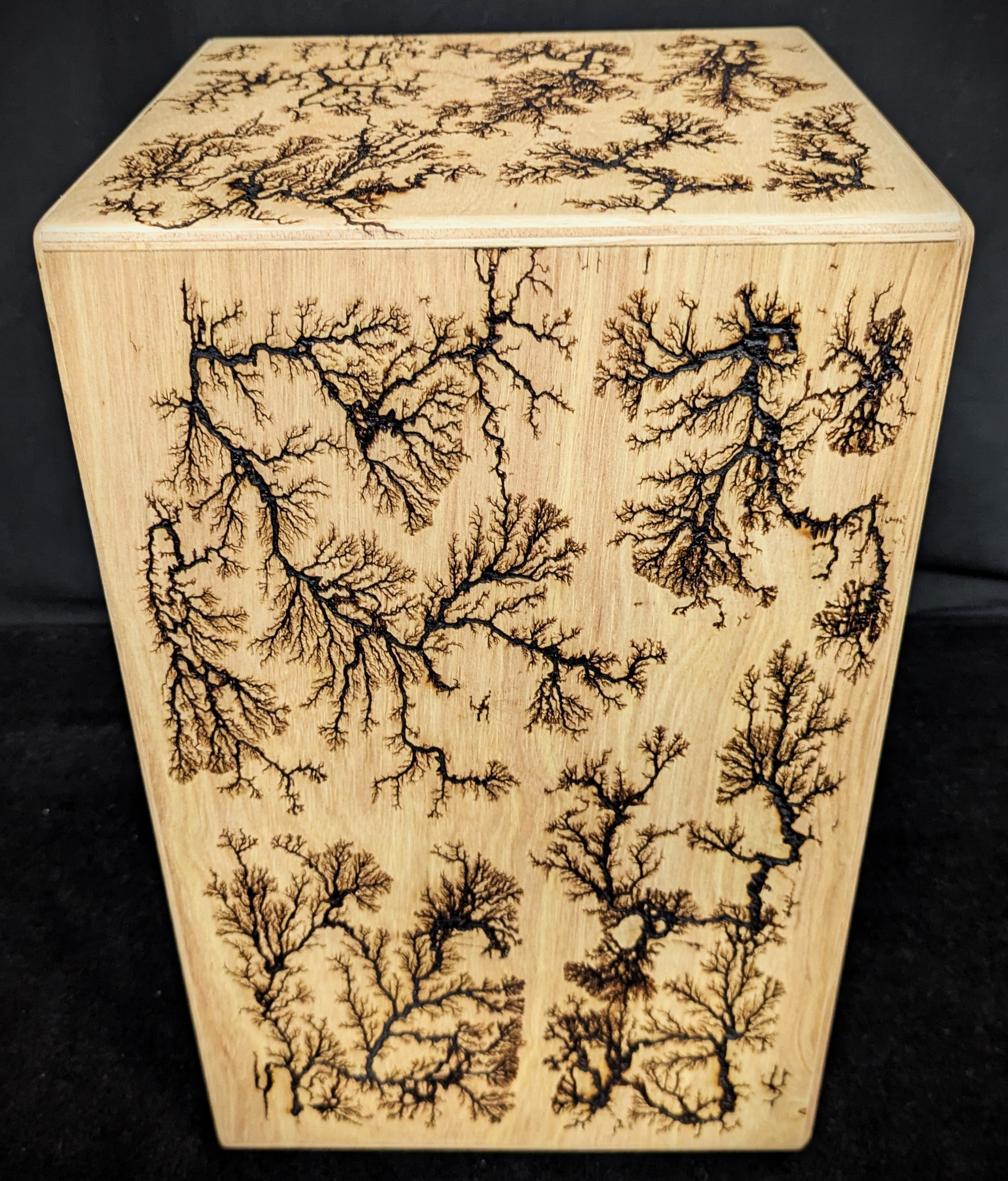 Supremo Select Willow Series Cajon – Dave's Guitar Shop