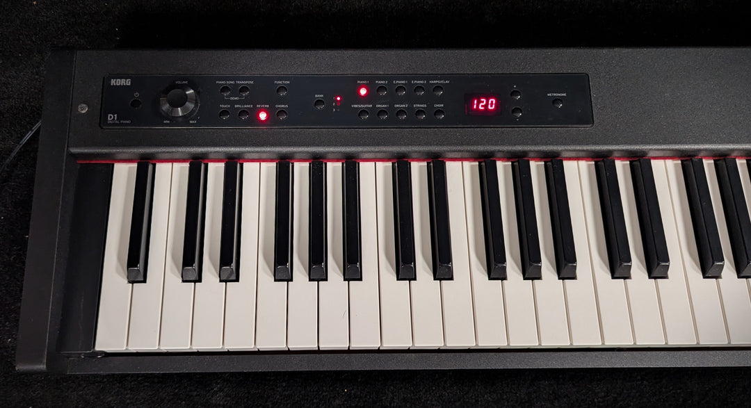 D1 Digital Piano with Stand