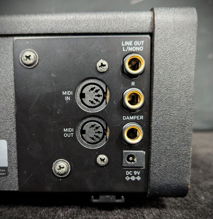 D1 Digital Piano with Stand