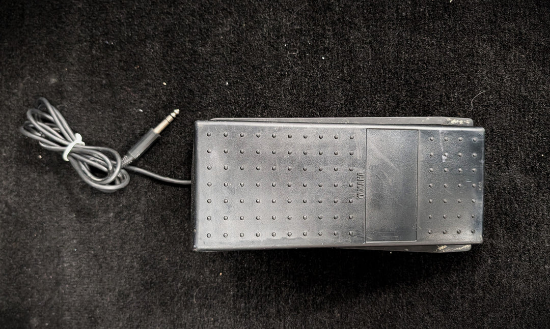 FC7 Expression Pedal – Dave's Guitar Shop