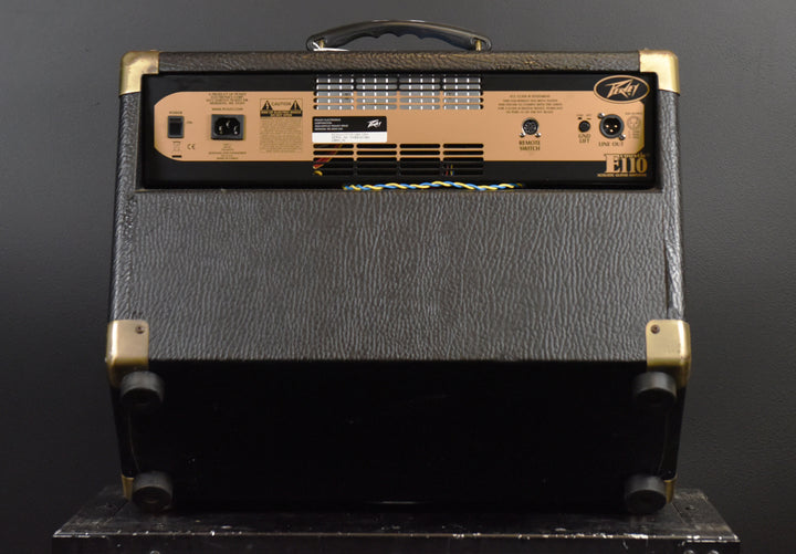 E110 Ecoustic - 100W Combo, Recent