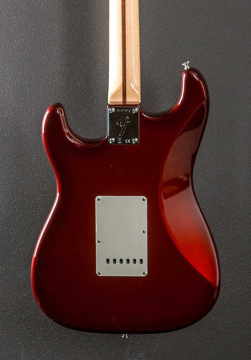 Robin Trower Signature NOS Stratocaster - Midnight Wine Burst