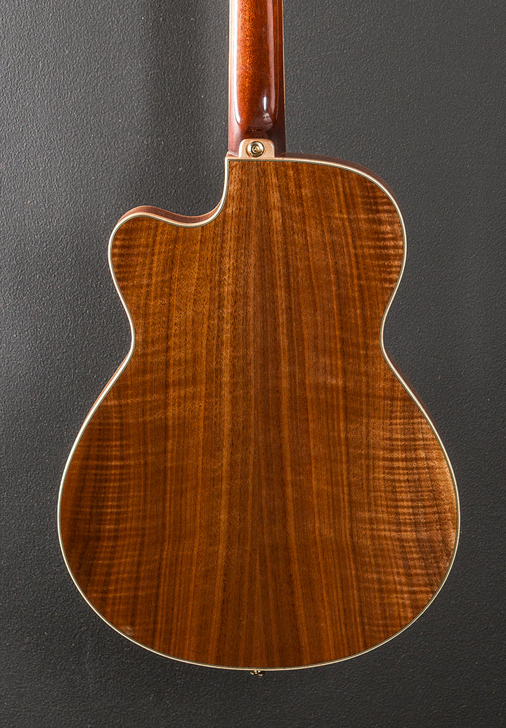 Thinline Hollowbody, Recent