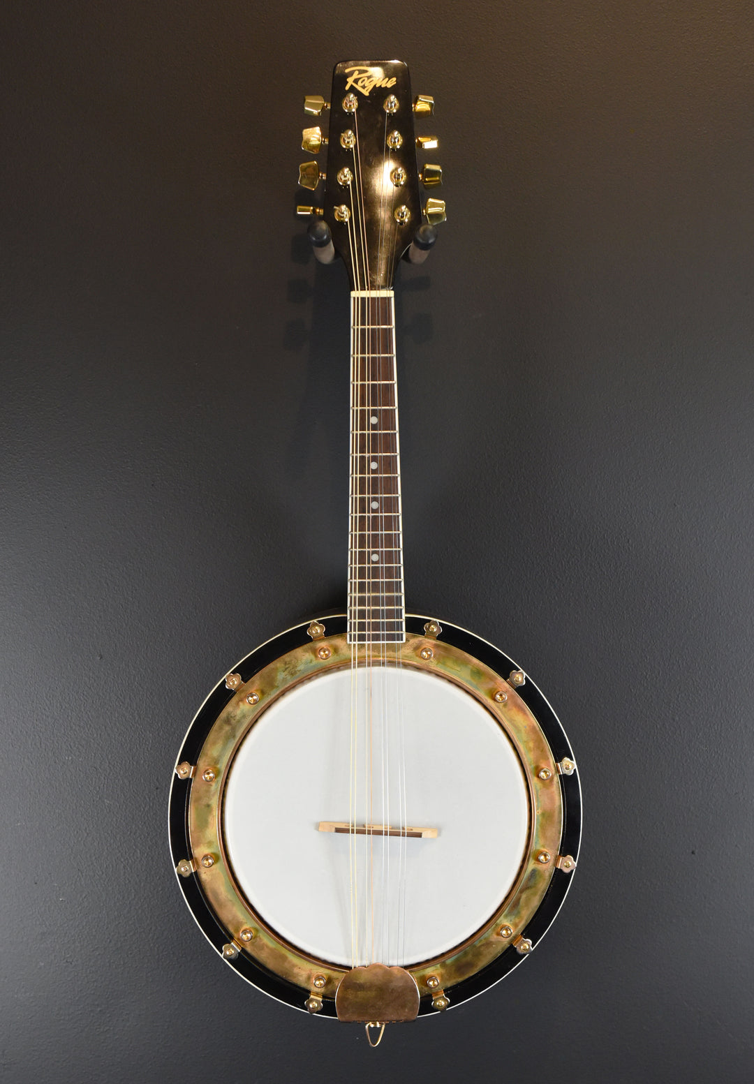 Banjolin, Recent