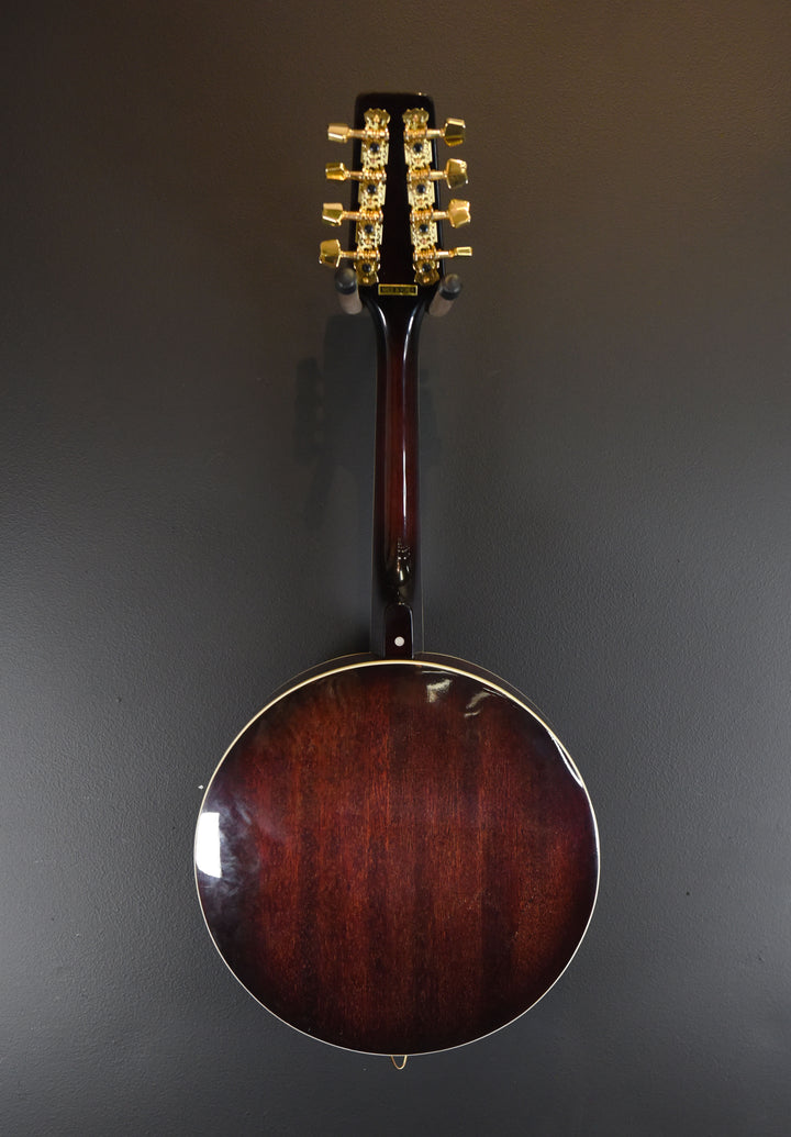 Banjolin, Recent