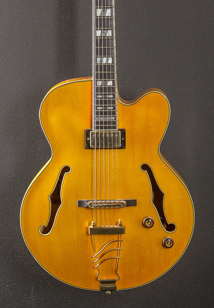 Pat Metheny PM2 '14