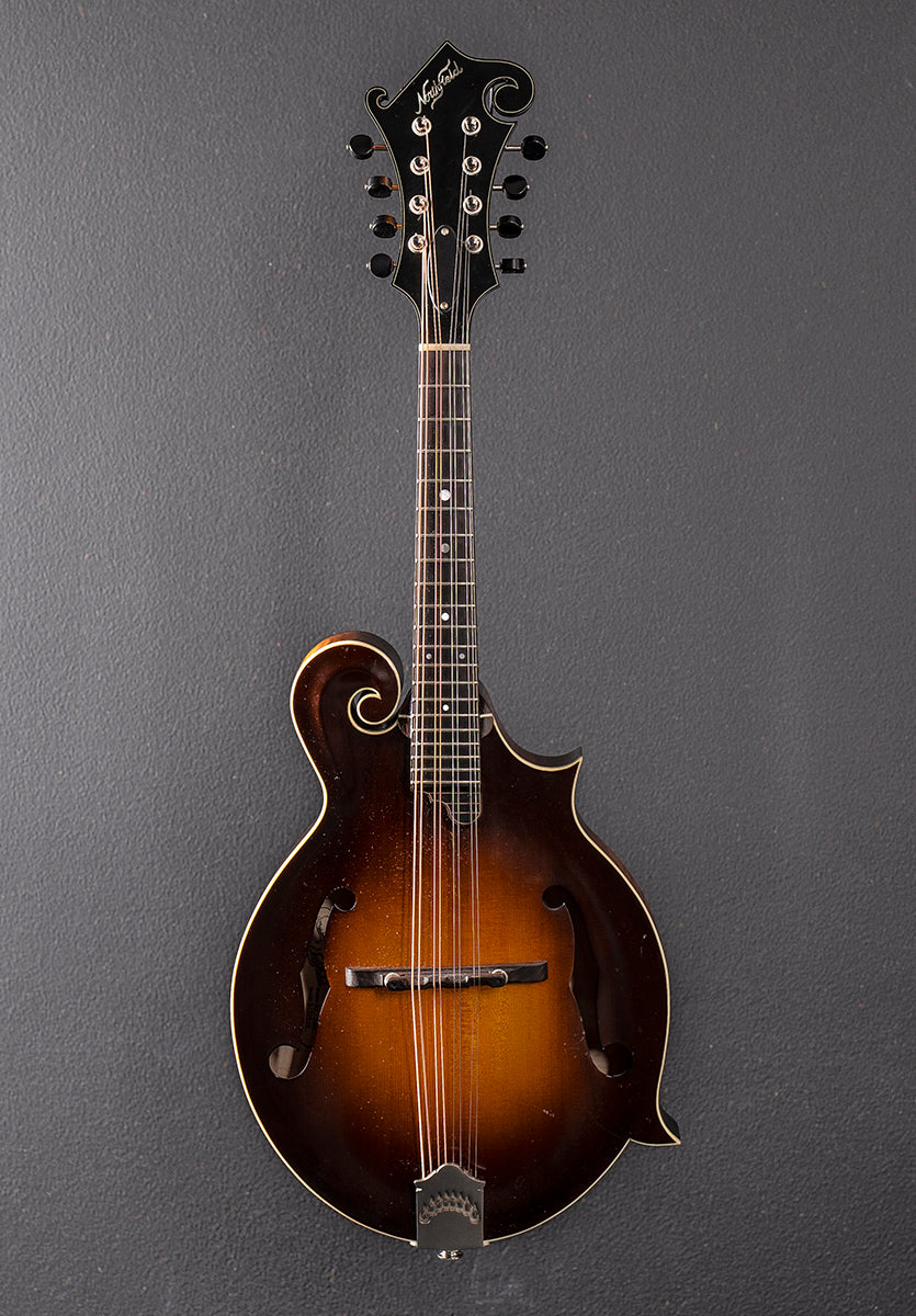 Model NFS-F5 Mandolin &