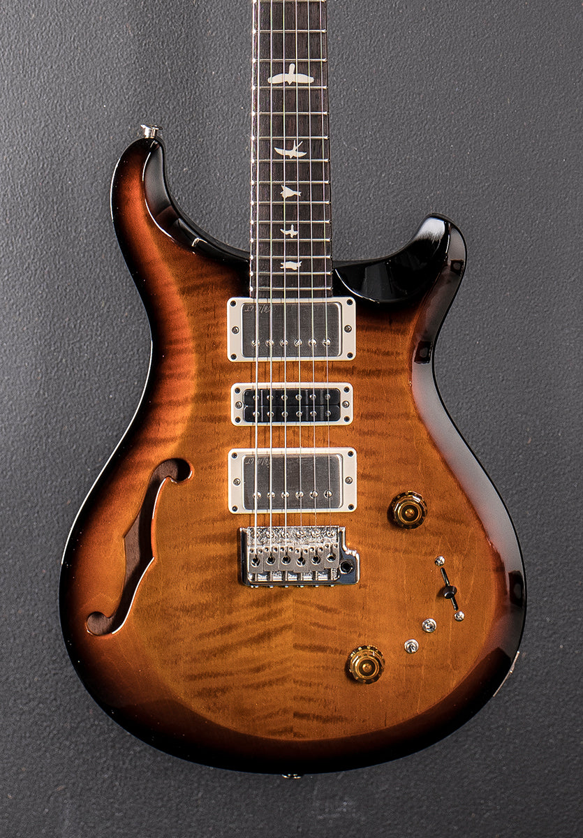 S2 Special Semi-Hollow &