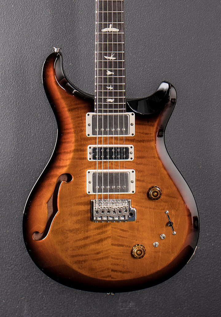 S2 Special Semi-Hollow &