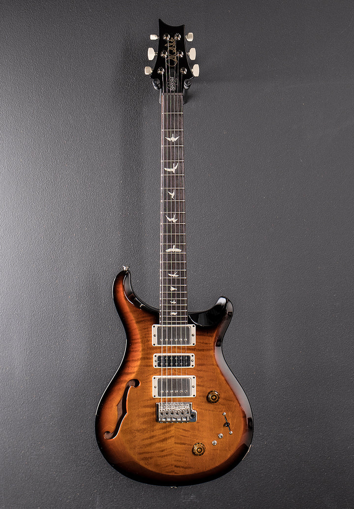 S2 Special Semi-Hollow &