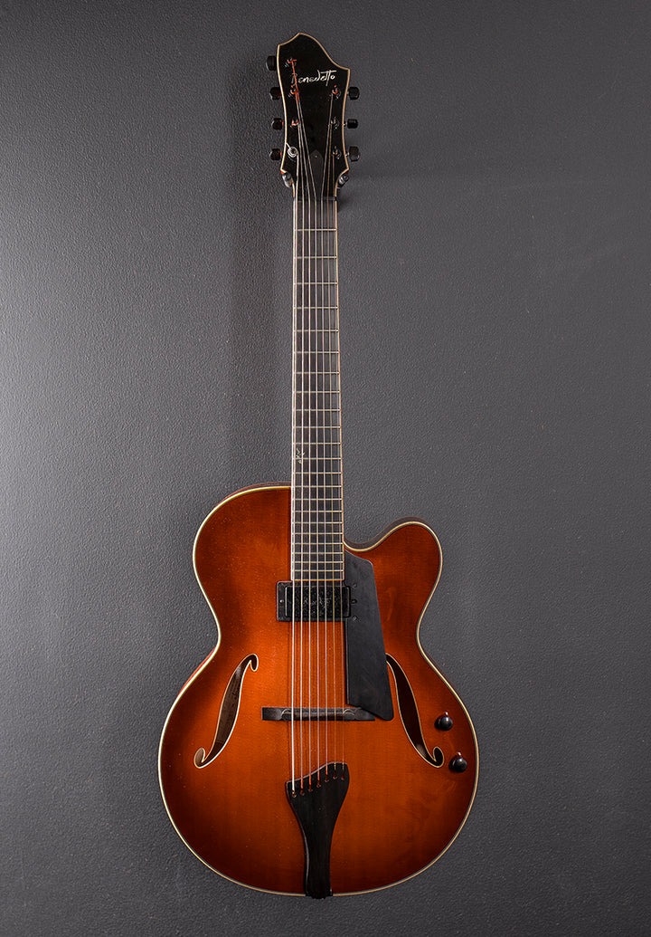 Bravo Deluxe Custom 7 String Archtop, Recent