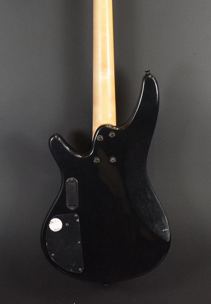 SRA300 Bass '10
