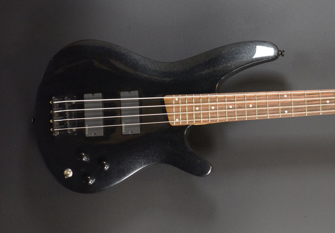SRA300 Bass '10