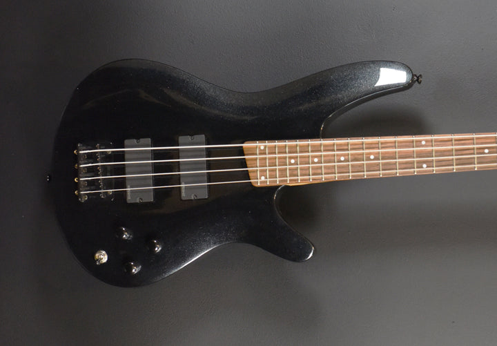 SRA300 Bass '10