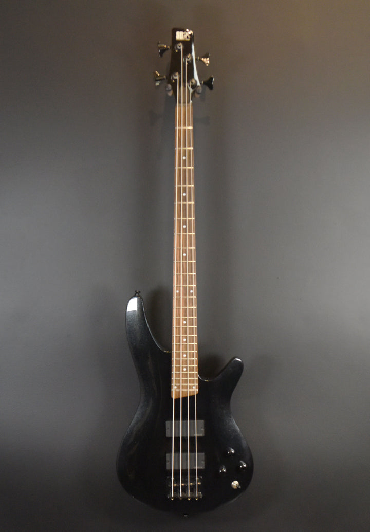 SRA300 Bass '10