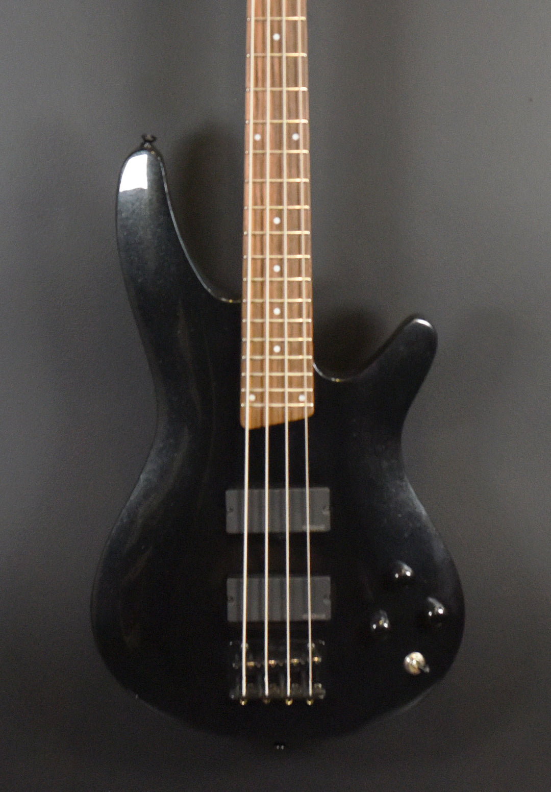 SRA300 Bass '10