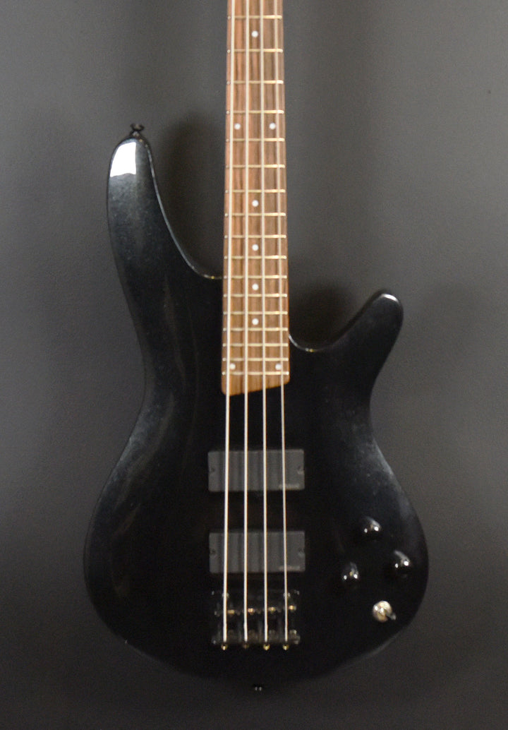 SRA300 Bass '10