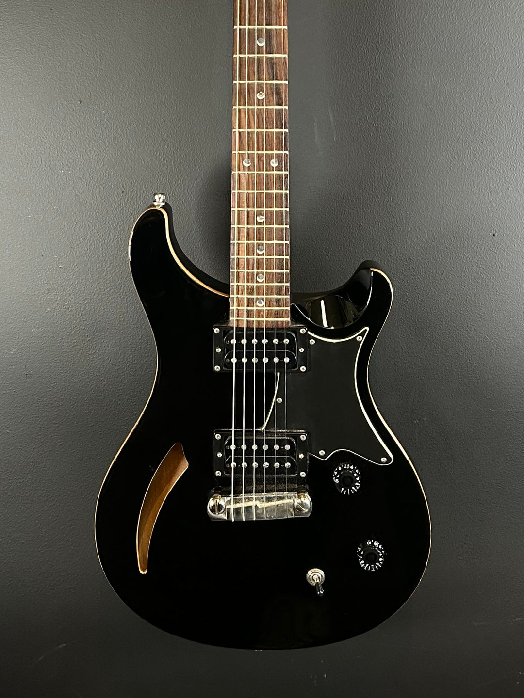 SE Custom 22 Semi-Hollow &