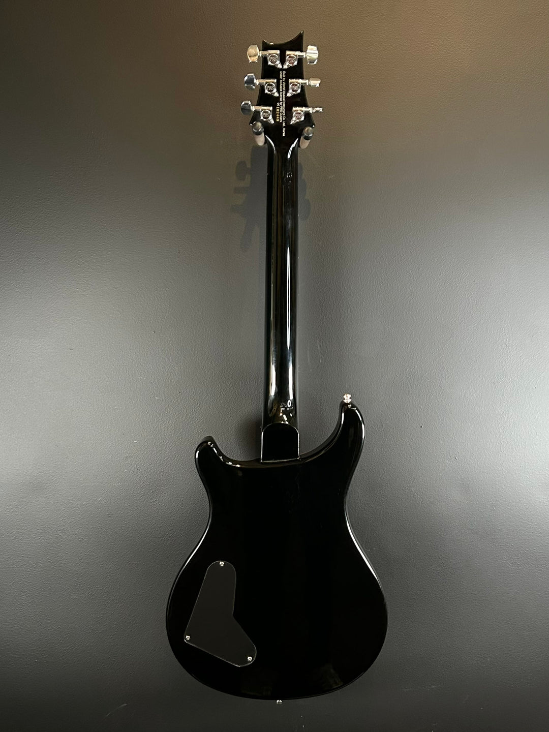 SE Custom 22 Semi-Hollow &