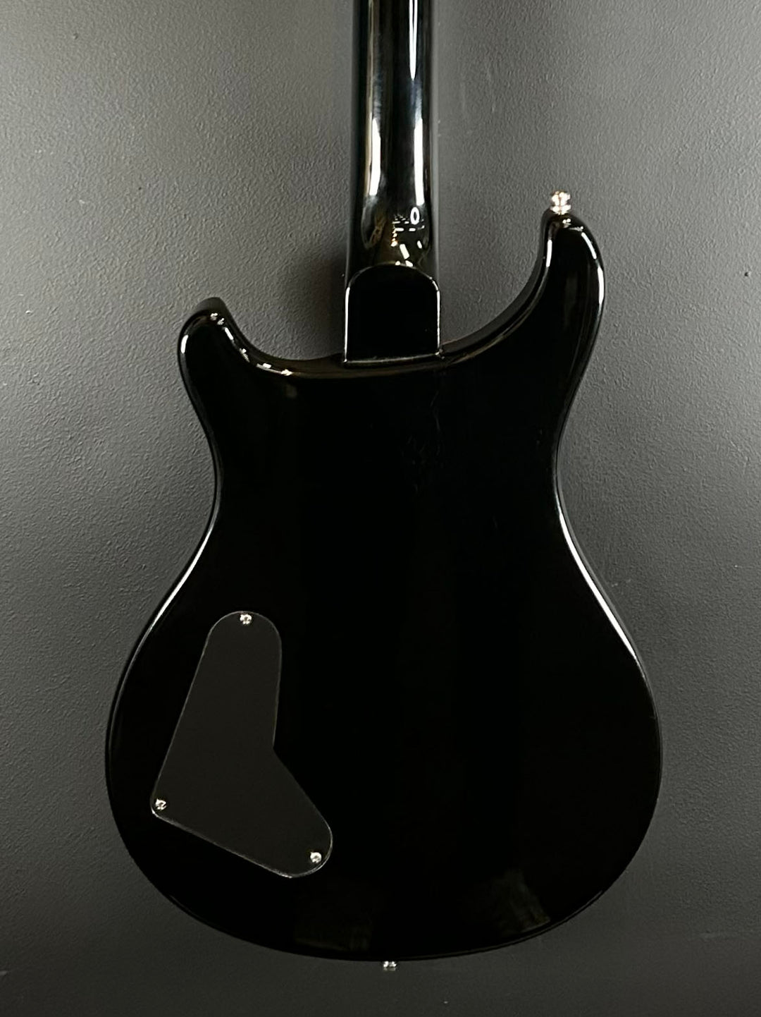 SE Custom 22 Semi-Hollow &