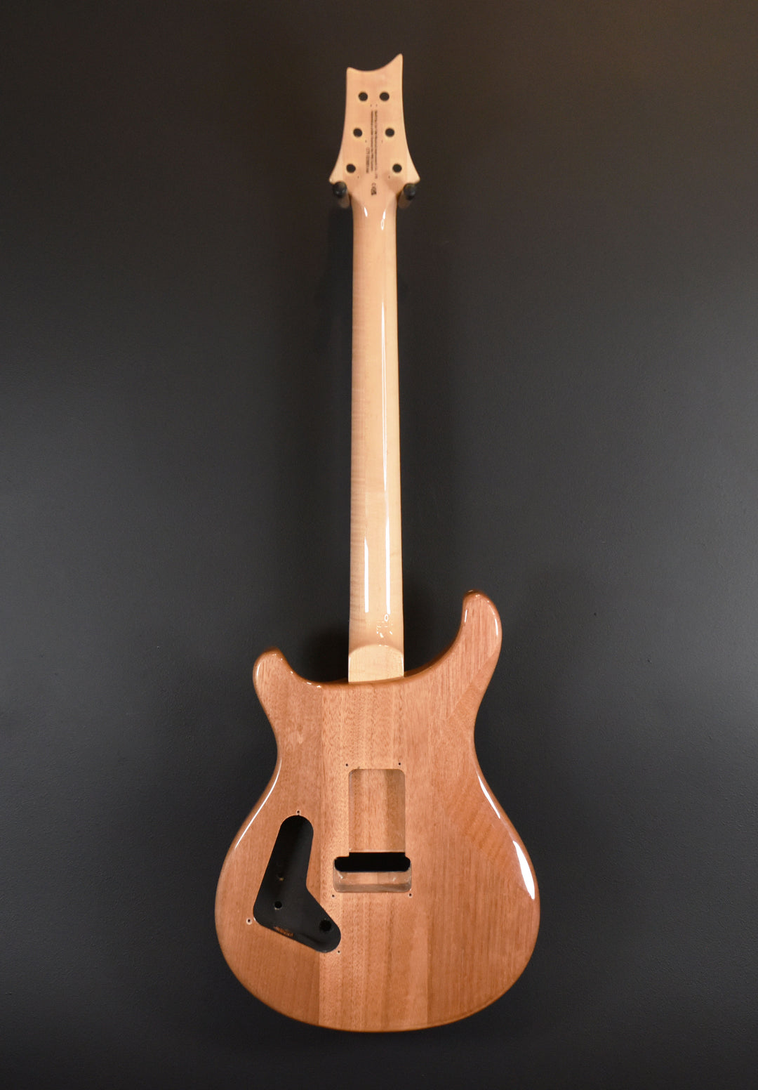 Unloaded SE Custom 24-08 Body/Neck '22