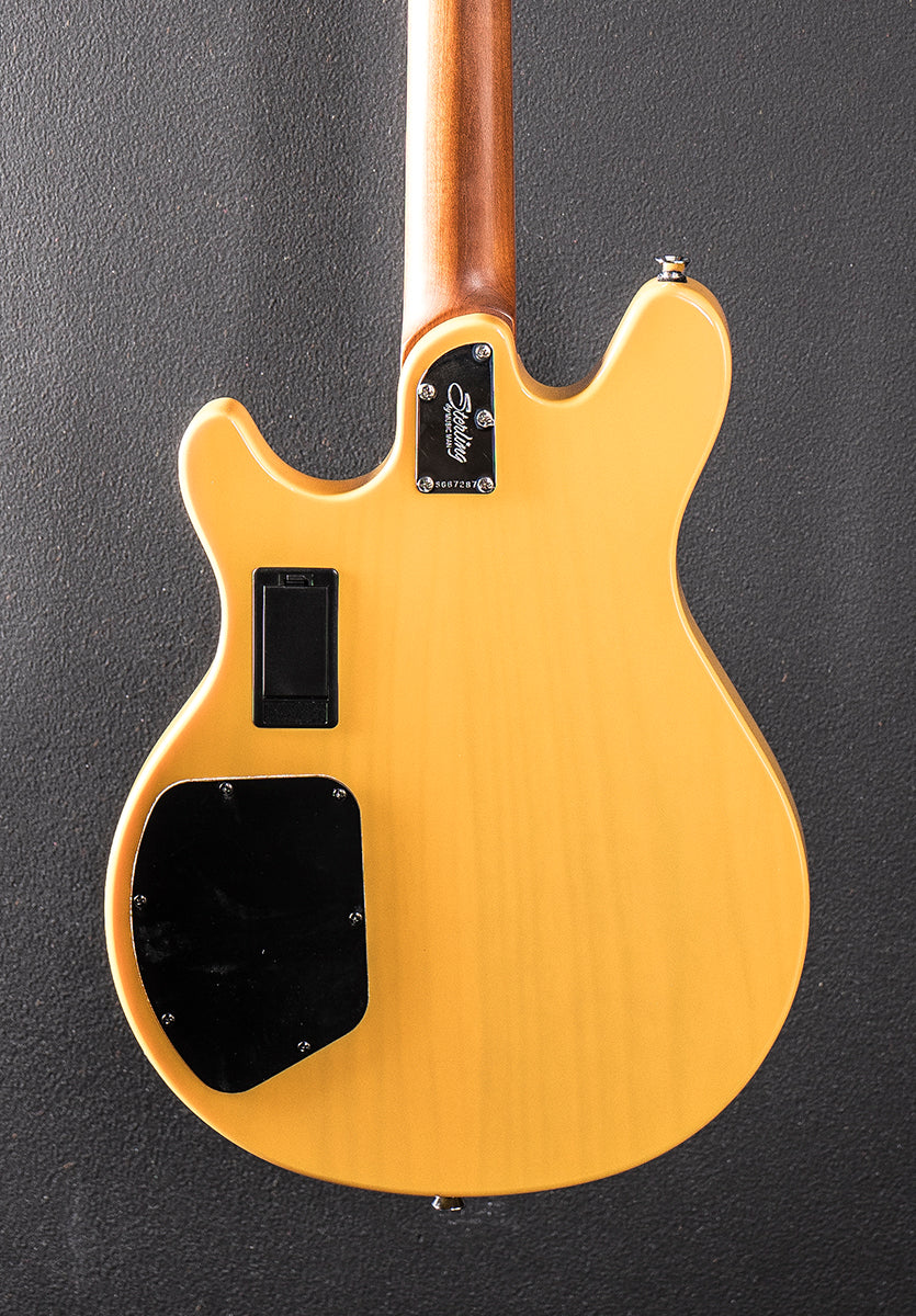 Valentine Chambered, Recent
