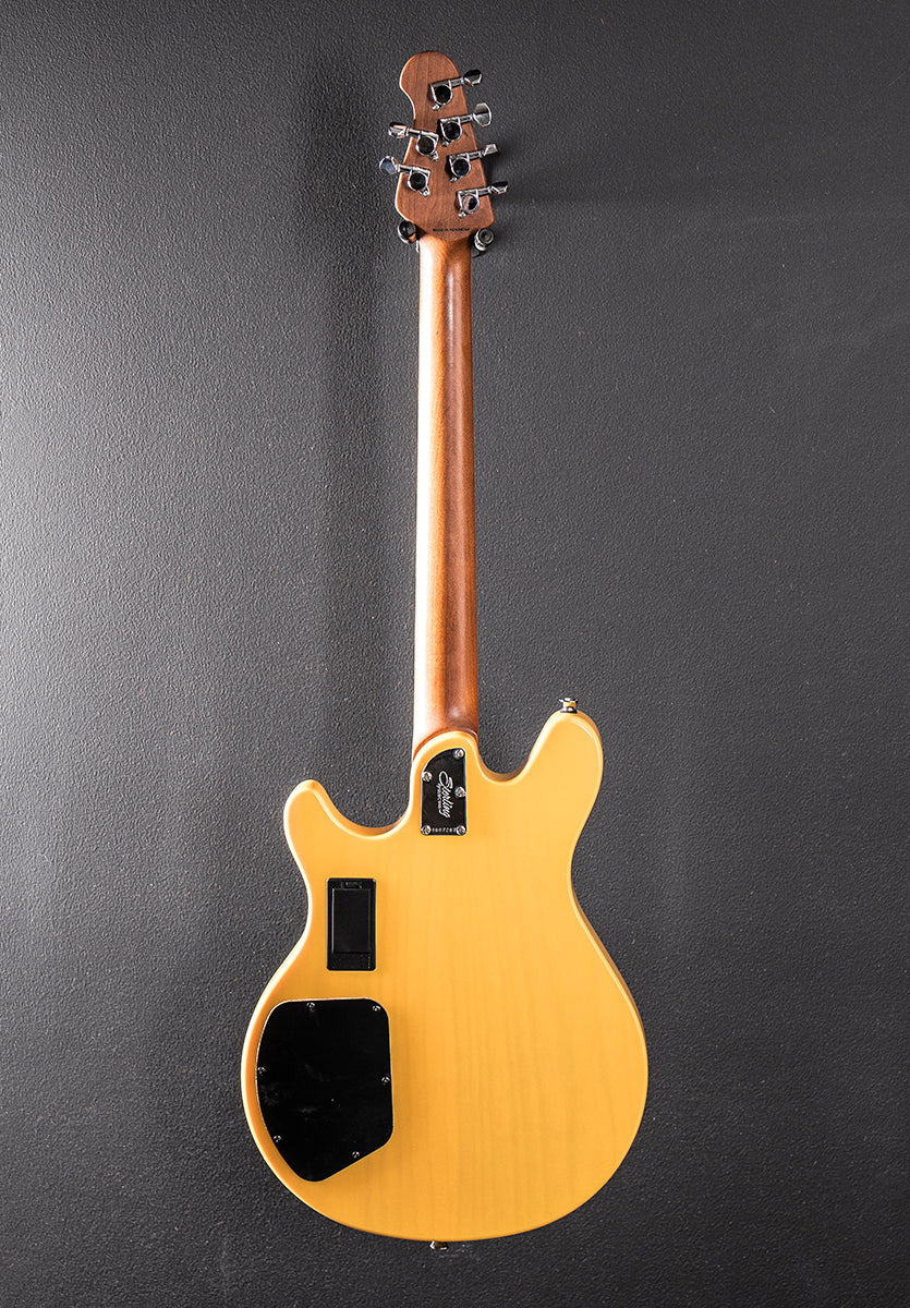 Valentine Chambered, Recent