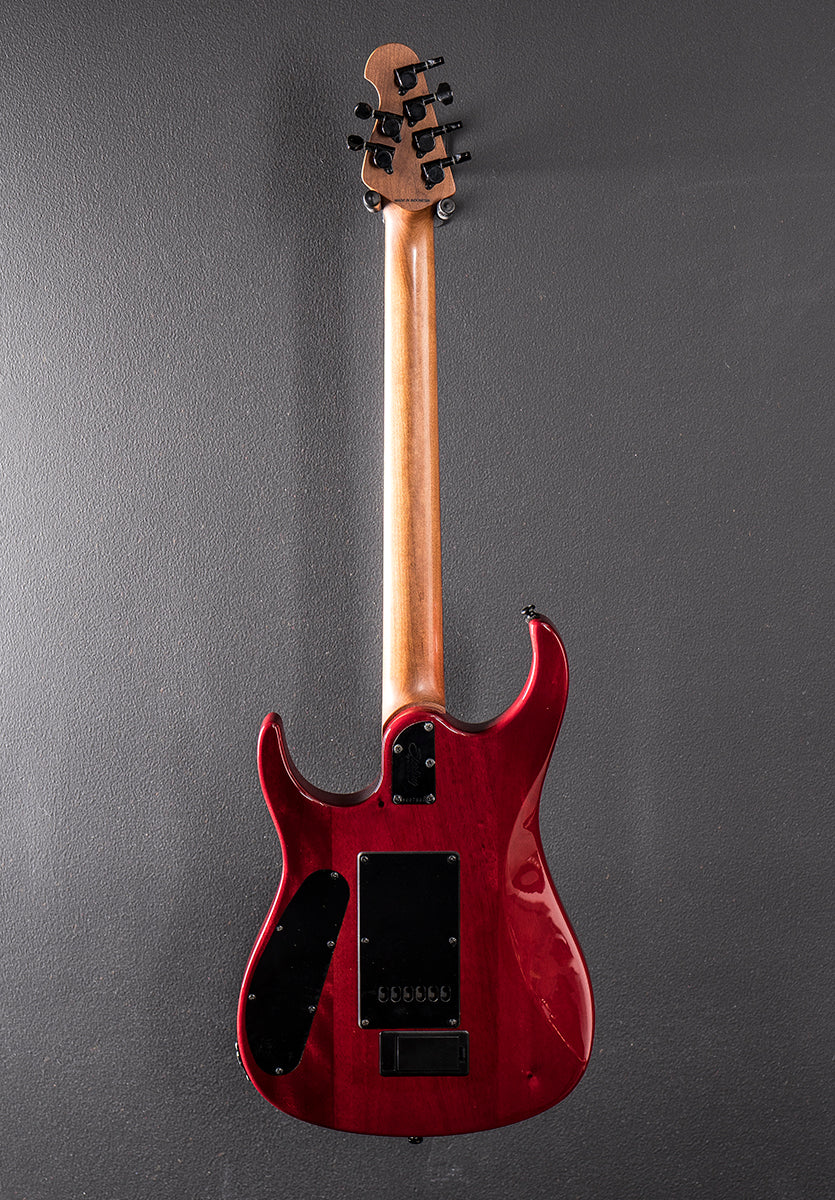 by Musicman John Petrucci JP150DSM, Recent