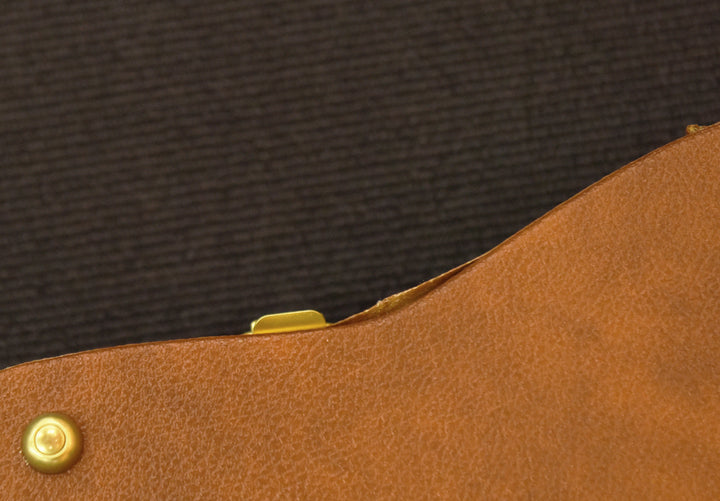 SG Bass Case, Recent