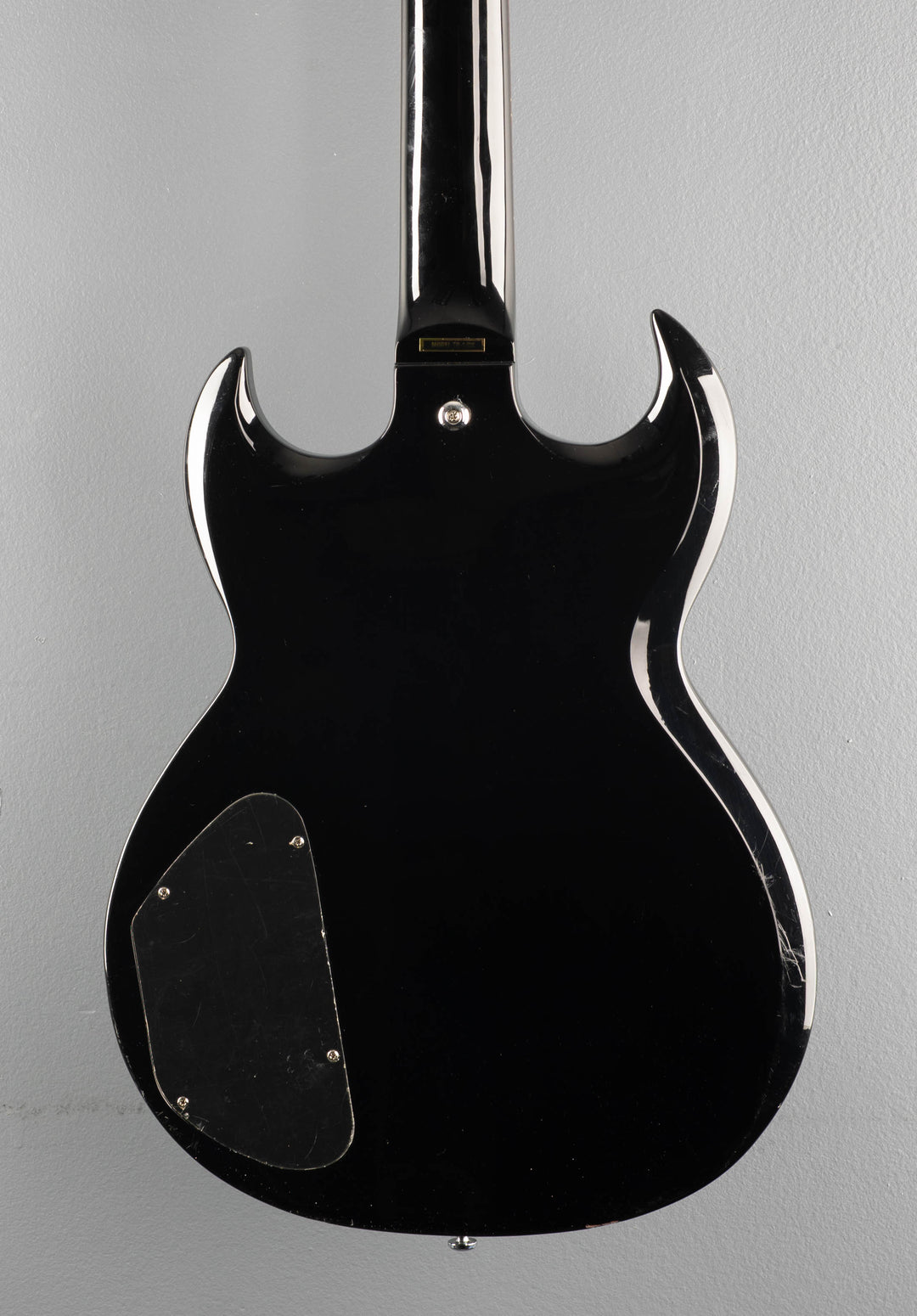 TR-1 Greg Bennett Torino Series, Recent