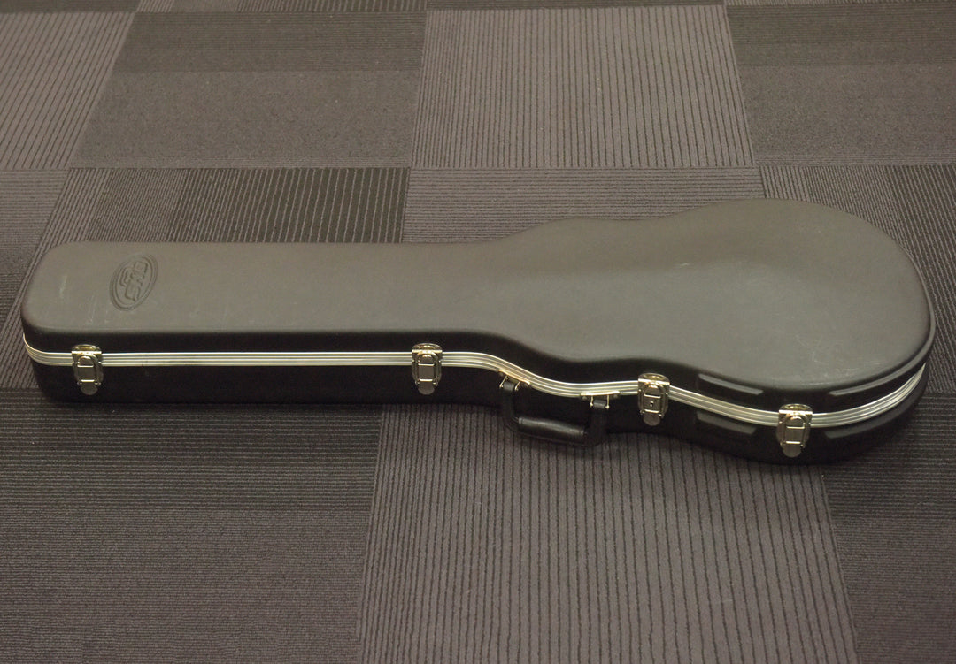 Les Paul Case, Recent