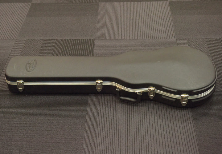 Les Paul Case, Recent
