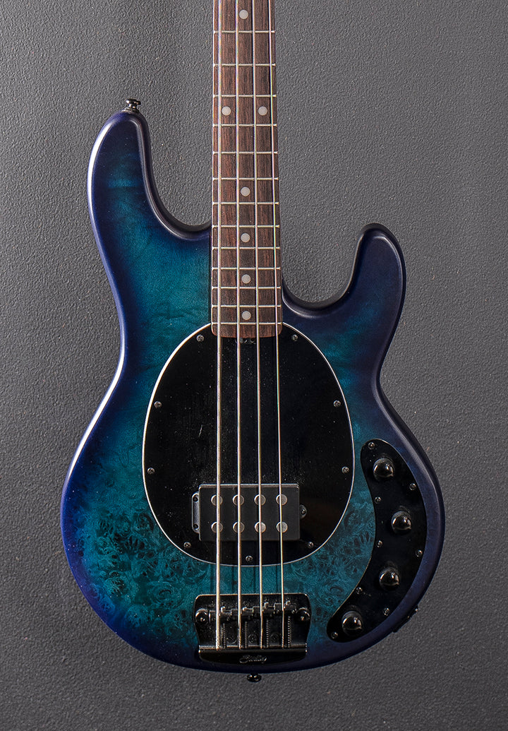Poplar Burl Ray 34 Bass, Recent
