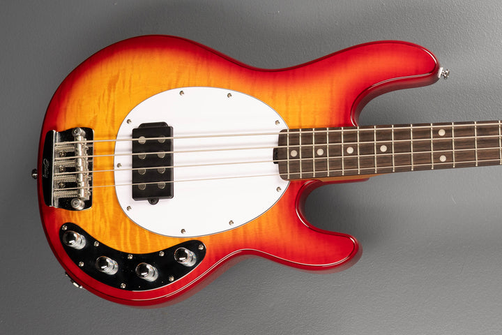 by Music Man StingRay Ray34 Flame Maple Bass, Recent