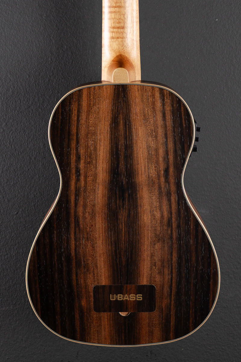 Striped Ebony Fretted U•BASS, Recent