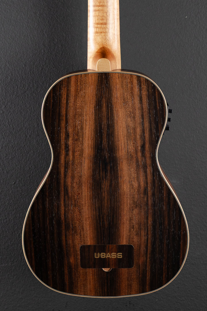 Striped Ebony Fretted U•BASS, Recent